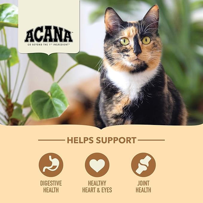 ACANA Dry Cat Food for Seniors Senior Entrée Chicken Turkey and Duck 4lb Bag