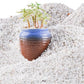 45lb White Cactus Pea Gravel Rocks,1/4 Inch Pebbles for Indoor Plants, Natural Succulent Rock and River Rocks Decorative for Aquariums, Vases, Outdoor Gardening, Top Dressing for Potted Plants