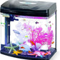 7 Gallon Glass Aquarium Starter Kit with Flip-Top Feeding Port for Betta Fish: Crystal Clear Viewing, Eco-Cycle Filtration, Air Pump, and LED Lighting