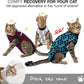 Bellyguard Cat Recovery Suit Female and Male, Comfy Onesie After Surgery, Kitten Clothes for Post-Op Care, Neuter and Spay Healing Outfits for Cats Only – Comfortable Kitten and Adult Cone Alternative