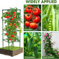6 Pack Tomato Cages, 41.7" H Square Tomato Plant Stakes Support Cages Trellis for Garden Climbing Vegetables Flowers Fruits,Extra Bold
