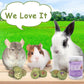 ERKOON Treats Rabbit Toys, 100% Edible Premium Timothy Hay Chew A Blocks for Rabbits, Chinchilla Treats, Chew Toys for Teeth Guinea Pigs and Mice