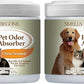 SMELLS BEGONE Air Freshener Pet Odor Absorber Gel - 15 oz, Pack of 2 - Absorbs and Eliminates Odor in Pet Areas, Bathrooms, Cars, & Boats - Made with Essential Oils - Citrus Scent