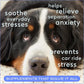 Native Pet Calming Chews for Dogs - Melatonin for Dogs Anxiety Relief - Grain Free All Natural Hemp Calming Treats & L-Theanine Helps Manage Stress & Separation Anxiety - Puppy Sleep Aid - 120 Chews