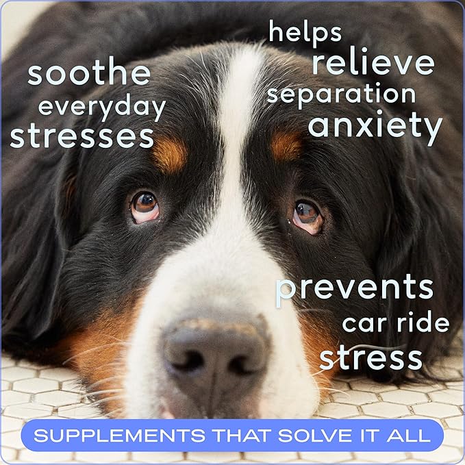 Native Pet Calming Chews for Dogs - Melatonin for Dogs Anxiety Relief - Grain Free All Natural Hemp Calming Treats & L-Theanine Helps Manage Stress & Separation Anxiety - Puppy Sleep Aid - 120 Chews