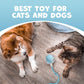 Pawlo Speedy Tail 2.0 Cat Toy –Teazys Turbo Tail Upgrade – Interactive Cat Toy – Kitten Toys – Automatic cat Toy for Boredom – Moving cat Toys for Indoor Cats with 2 Tails (Blue)