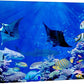 wall26 Canvas Print Wall Art Vibrant Sunlight Ray Ocean Shark Fish Reef Nature Animals Photography Realism Rustic Scenic Landscape Wilderness Earth for Living Room, Bedroom, Office - 24"x36"