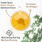 BREWIX, Turmeric Ginger Herbal Tea Bags (50 Pyramid Tea Bags) Caffeine-Free Ayurvedic Blend for Daily Wellness & Immune Balance | Daily Wellness Ritual | Gluten Free | Real Ingredients From India