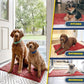 Muddy Mat® Shown on TV – Super Absorbent Microfiber Dog Door Mat for Muddy Paws, Non-Slip Washable Pet Rug, Quick Dry Chenille Entryway Carpet, Machine Washable Indoor Outdoor mat, Red 59"x24"
