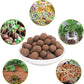 Halatool 10LB Leca Clay Pebbles for Plants 4mm-16mm Clay Balls 100% Natural Hydroton Leca Balls for Indoor Plants Hydroponic Growing Gardening Orchids Drainage Decoration Aquaponics