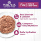 Wellness Complete Health Pate Adult Wet Cat Food, Natural, Protein-Rich, Grain Free, 3 Ounce, 24 Pack, (Chicken & Lobster)
