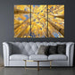 Nature Wall Art Prints - Ocean Forest Mountain Lake Canvas Landscapes - Small to Extra Large Living Room Bedroom Kitchen Bathroom Décor (Reaching for the Sky, 31L" x 47W" - 3 Panels)