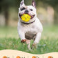 1.96'' Dog Balls for Dogs Aggressive Chewers Indestructible Tennis Durable Bouncy Interactive Dog Toy Balls for Fetch Game Floating Training(Yellow Small)