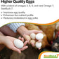 SeaBuck 7 Chicken & Bird Supplement with Sea Buckthorn to Improve Egg Quality (1-Month Supply for 20 Chickens) – Earlier Laying, Egg Production Booster & Higher Quality Eggs