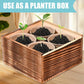 Indoor Daisy Garden Starter Kit, 4 Flower Seeds Growing into Shasta Daisy, Cornflower, Sunflower, Zinnia, Including Complete Gardening Tools, Christmas Gifts for Women Men & Beginners