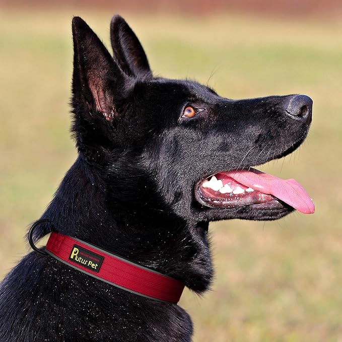 Plutus Pet Tactical Dog Collar, Reflective, Adjustable Heavy Duty Dog Collar, Soft Padded and Comfortable, for Small Medium and Large Dogs (Red, M)