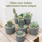 2.5LB Succulent and Cactus Pebbles, 1/5 Inch Jade Pebbles for Indoor Plants, Decorative Gravel for Vases, Bamboo, Succulent, Terrarium, Crafts, Cactus