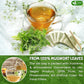 FreshDrinkUS, Premium 45 Mugwort Leaf Tea Bags, 100% Natural and Pure Mugwort Leaves. Loose Leaf Mugwort Herbal Tea. Mugwort Leaf Tea. No Sugar, No Caffeine, No Gluten, Vegan. (45 Tea Bags)