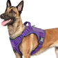 rabbitgoo Dog Harness for Large Dogs No Pull, Tactical Service Pet Vest with Molle and Control Handle, Adjustable and Reflective Military Harness for Easy Walking and Training, Purple, L