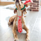 PET SHOW 10 Pack Holiday Dog Ties Neckties for Large Medium Dogs Adjustable Grooming Accessories Neck Ties Bowties Girl Boy Pets Festival Costumes Puppy Wedding Party Gift Favor