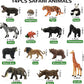 Toymany 14PCS 1-2" Tiny Jungle Animal Figures Toy, Realistic Mini Jungle Zoo Animal Figurines Cake Topper Toy Set, Easter Egg Christmas Birthday Gift Party Favor School Project for Kids Toddlers