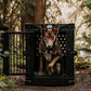 Heavy Duty Fully Collapsible Powder-Coated Aluminum Dog Crate - Medium (Black)