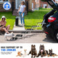 Niubya Dog Ramps for Cars, Portable Folding Dog Stairs for Cars, SUV, Trucks, Lightweight Pet Ramp for Large Dogs with Non-Slip Surface, Reinforced Pet Steps Supports Up to 200 lb, 6 Steps