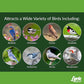 Lyric Fine Tunes No Waste Bird Seed 5 lb. Bag and Lyric Finch Small Songbird Wild Bird Food 5 lb. Bag for Outdoor Bird Feeders