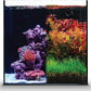 Ultum Nature Systems Dual AIO - Freshwater/Saltwater Compatible All in One Rimless Tank with Triple Chamber Filtration System, Integrated Filter Aquarium w/Leveling Mat - 17 Gallon, 40A, Black