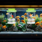2 Pcs Breeder Box for Fish Tank Aquarium Breeder Separation Net Breeding Box with Suction Cup for Small Fish Shrimp Clownfish Guppy(Green,M)