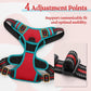rabbitgoo Dog Harness No Pull with 2 Leash Clips, Adjustable Soft Padded, Reflective Oxford No Choke Pet Vest with Easy Control Handle for Medium Sized Dogs, Red & Teal, M