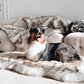 IHAPPYDOG Luxury Faux Fur Orthopedic Dog Bed, Memory Foam Dog Bed for Small, Medium, Large and XL Pets, Fluffy Pet Bed with Waterproof and Washable Cover (White w/Brown Tips, 50"x30")