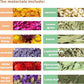 Natural Ear of Grain Flower&Herb Bedding Mate Habitat Decor, Adding Fun Hamster Accessories for Hamsters Gerbils Lemming