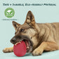 Enrichment Frozen Treat Toy for Dogs - 2-in-1 Dog Licking Toy & Dispensing Dog Puzzle Toy, Fillable Rubber Interactive Toy, Keeps Them Busy, Reduces Anxiety, Safe & Easy to Clean Red