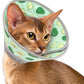 Cat Cone Collar Soft, Comfortable Cat Recovery Collar Pet Cone for Small Large Cats, Lightweight Elizabethan Collar for Cats Kittens After Surgery Prevent from Licking Wounds, Green, S