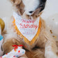 ZippyPaws Dog Birthday Gift Bandana & Bone - Cute Accessories for Girl & Boy Dogs, Holiday Set, Fits Small, Medium, & Large Dogs, Stuffed Plush Toy, Machine Washable Handkerchief - One Size Fits Most