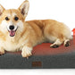 Bedsure Self Warming Dog Bed for Medium Dogs - Orthopedic Waterproof Puppy Beds with Removable Washable Cover, Egg Crate Foam Pet Mat, Suitable for Pet Up to 35 lbs