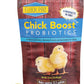 Equerry's Flock PRO Chick Boost Probiotic - Probiotics, Vitamins, Minerals and Electrolytes for Chickens | Chicken Vitamins and Supplements for All Poultry - 8oz