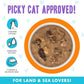 Weruva B.F.F. OMG - Best Feline Friend Oh My Gravy!, Purr-FECT Plannin'! with Chicken, Turkey & Salmon in Gravy Cat Food, 2.8oz Pouch (Pack of 12)