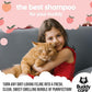 Peach Cat Shampoo - Deep Cleansing Shampoo for Cats - Fruity Scented - with Aloe Vera and B5 (16.90oz)