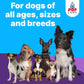 Freedom Joint Drops - Dog Joint Support Supplement with Human-Grade Ingredients - No Fillers, Preservatives, Additives, or Artificial Ingredients, 3 30 ml Droppers