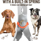 Dog Nail Clippers - All Steel Material, Built-in Spring,Heavy Duty Dog Nail Trimmer Full Metal Razor Sharp Professional for All Dogs Cats with Thick Toena,Dog Nail Trimmers