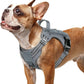 rabbitgoo Dog Harness Small Sized No Pull, Tactical Service Pet Vest with Molle and Control Handle, Adjustable and Reflective Military Harness for Easy Walking and Training, Grey, S
