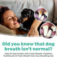 TropiClean Fresh Breath TripleFlex Toothbrush for Small & Medium Dogs | 360-Degree Dog Dental Cleaning | Dog Toothbrush for Small & Medium Breeds