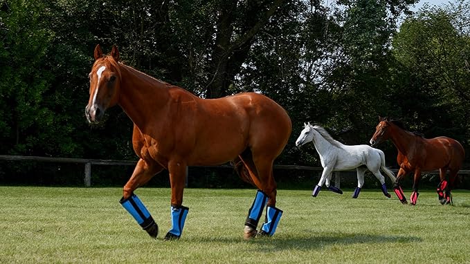 Warrior Fly Boots for Horses - Breathable Mesh Horse Boots for Fly Protection & Leg Comfort - Set of 4 (Knight Warrior, Purple)