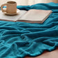 Bedsure Fleece Throw Blanket Teal - 300GSM Blankets for Couch, Sofa, Bed, Soft Lightweight Plush Cozy Throws for Toddlers, 50x60 inches