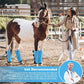 Premium 4-Pack Horse Fly Boots & Leggings Loose-Fit Fine Mesh with Stay-On Fasteners, Support Strips & Anti-Stomp Design Breathable Non-Slip Protection Leg Wrap (Large) Sky - Blue