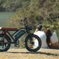 Electric Bicycle for Adults - 20”x 4”Fat Tire, Peak 1000W Motor, 7 Speed Electric Motorcycle Bicycle, 48V/18.2AH Detachable Battery Long Seat Electric Bike,Up to 28MPH/30-60Miles Electric Dirt Bike