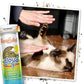 Meowijuana Rainbow Bundle | Get Kickin' Refillable Rainbow Toy and Cloud 9 Catnip Blend | Promotes Play and Cat Health | Includes North American Organic Catnip