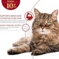 INABA Churu Broth for Cats Senior 10+, Side Dish Pouch, 1.4 Ounces per Pouch, 12 Pouches Total, Chicken & Tuna Recipe